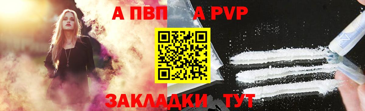 Alfa_PVP СК КРИС Калининград
