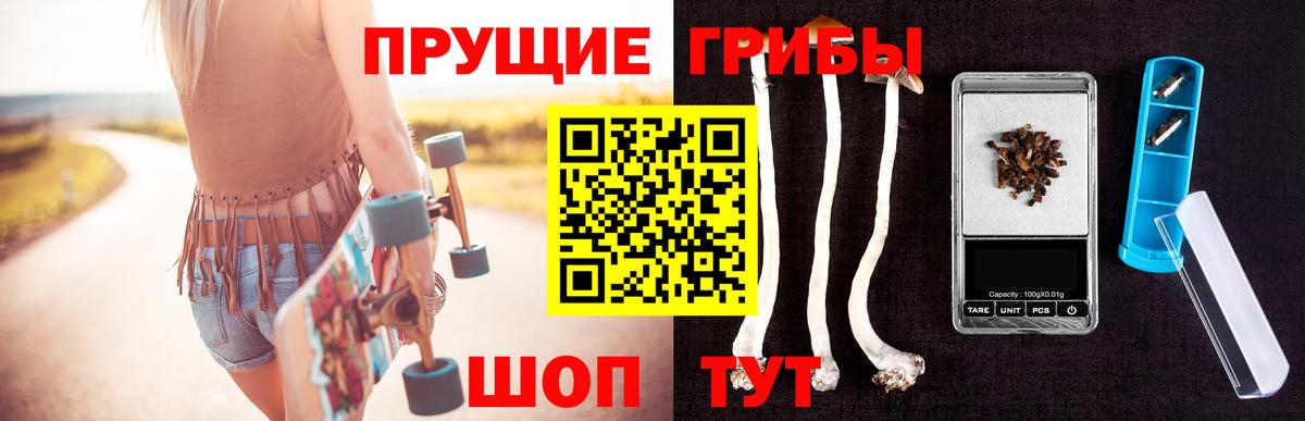 Калининград  сколько стоит  Псилоцибиновые грибы Psilocybe  Вход с VPN  Псилоцибиновые грибы GOLDEN TEACHER 